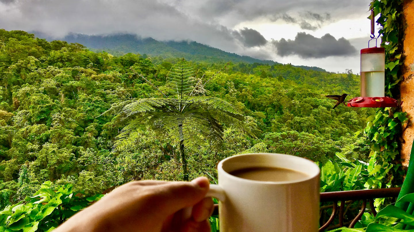 Single Origin Favorites Sample Pack