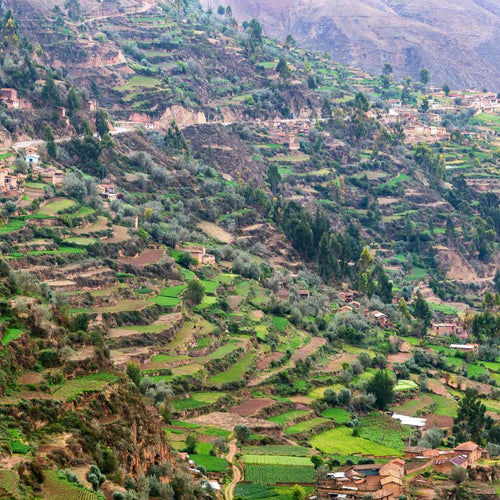 Best Sellers Sample Pack: 6 Bean, Cowboy, Breakfast, Peru, Mexico, Bali Blue